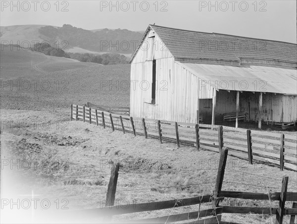 Cowbarn and hills, California dairy ranch, Contra Costa County, California, 1938. Creator: Dorothea Lange.