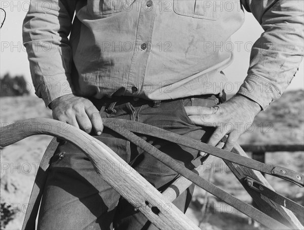 Purchasing farm under Bankhead-Jones Act, near Stockton, California, November 17, 1938. Creator: Dorothea Lange.