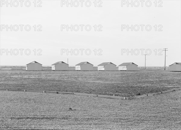 United States government camp for migratory workers (FSA), Westley, California, 1938. Creator: Dorothea Lange.