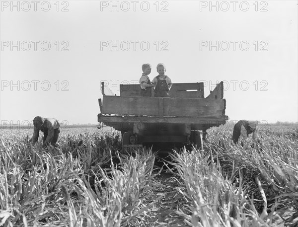 Formerly rehabilitation clients now operating own farm, near Manteca, California, 1938. Creator: Dorothea Lange.