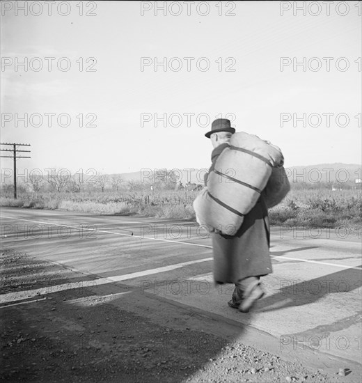 More than twenty-five years a bindle-stiff..., Napa Valley, California, 1938. Creator: Dorothea Lange.