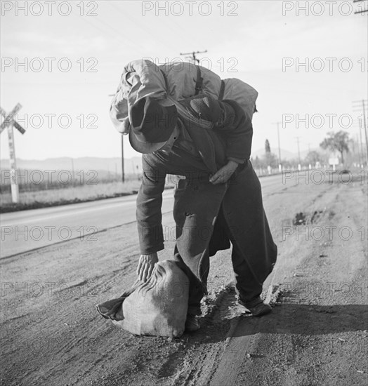 More than twenty-five years a bindle-stiff..., Napa Valley, California, 1938. Creator: Dorothea Lange.