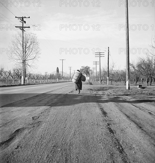 More than twenty-five years a bindle-stiff..., Napa Valley, California, 1938. Creator: Dorothea Lange.