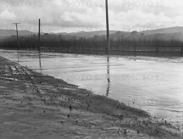 U.S. 101 near San Juan Bautista, California, 1939. Creator: Dorothea Lange.
