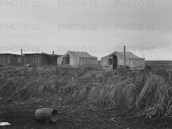 Company cotton pickers camp, after picking season, Buttonwillow, California, 1939. Creator: Dorothea Lange.