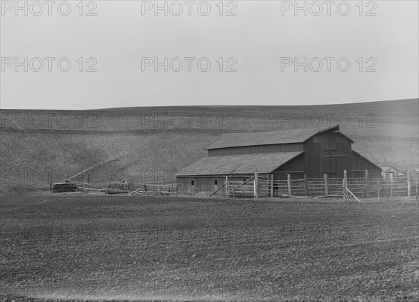 Small dairy farm near Santa Maria, California, 1939. Creator: Dorothea Lange.