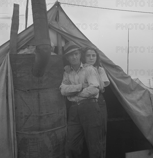 From Wyoming and Missouri eight years...working in lemons..., near Strathmore, CA, 1939. Creator: Dorothea Lange.