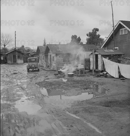 Houses inhabited by Mexican citrus workers, Lindsay, Tulare County, California, 1939. Creator: Dorothea Lange.