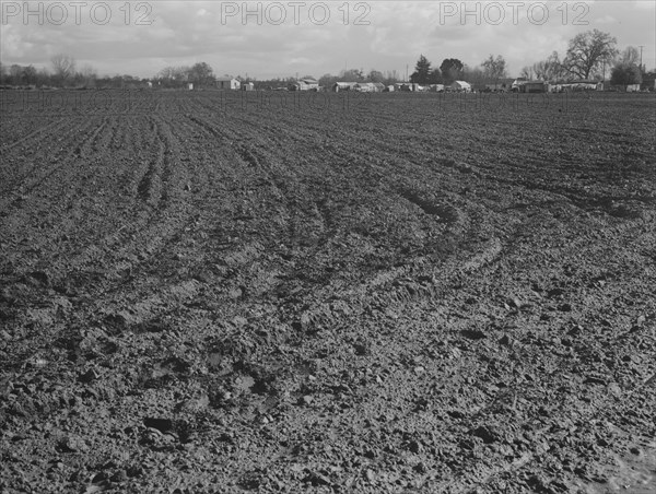 Migrants' winter quarters, Farmersville, Tulare County , 1939. Creator: Dorothea Lange.