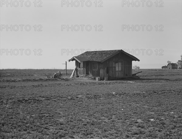 On the plains west of Fresno, California, 1939. Creator: Dorothea Lange.