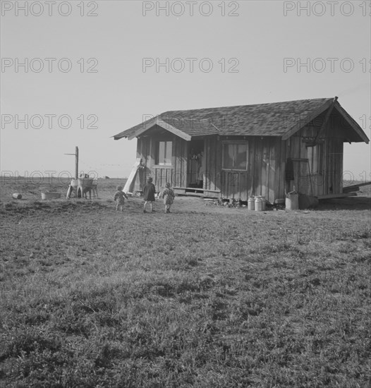 On the plains west of Fresno, California , 1939. Creator: Dorothea Lange.