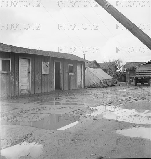 Houses inhabited by Mexican citrus workers, Lindsay, Tulare County, California , 1939. Creator: Dorothea Lange.