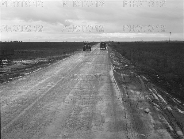 County road between potato fields, Kern County, California, 1939. Creator: Dorothea Lange.