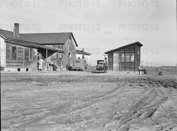 Cotton workers, outskirts of Firebaugh, west side of San Joaquin Valley, California, 1939. Creator: Dorothea Lange.