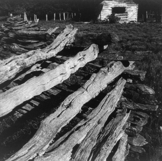 Split-log fence, North central Arkansas, along U.S. 62, 1938. Creator: Dorothea Lange.