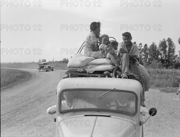 Mississippi Delta, on Mississippi highway No. 1 between Greenville and Clarksdale, 1938. Creator: Dorothea Lange.