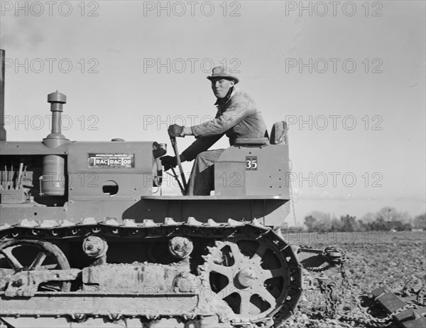 Cultivating potato-fields, west side of San Joaquin Valley, California, 1939. Creator: Dorothea Lange.