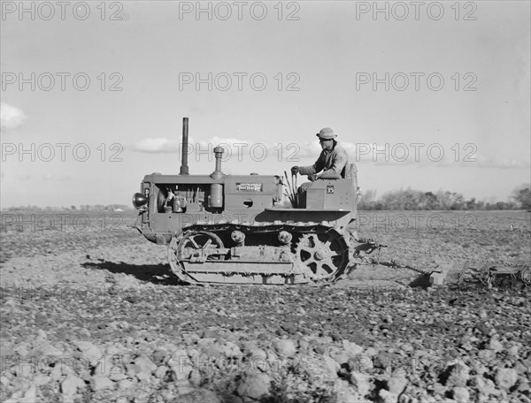 Cultivating potato-fields, west side of San Joaquin Valley, California , 1939. Creator: Dorothea Lange.