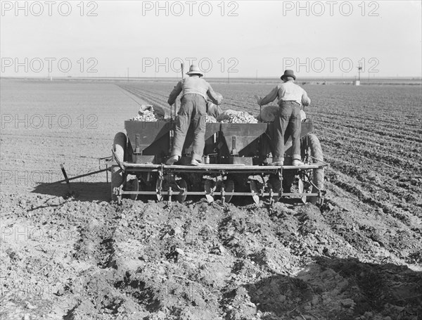 Large-scale, mechanized farming - potato planter, Kern County, California, 1939. Creator: Dorothea Lange.