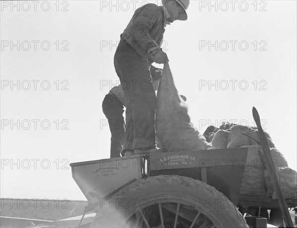 Loading bins of potato planter with fertilizer and seed..., Kern County, California, 1939. Creator: Dorothea Lange.