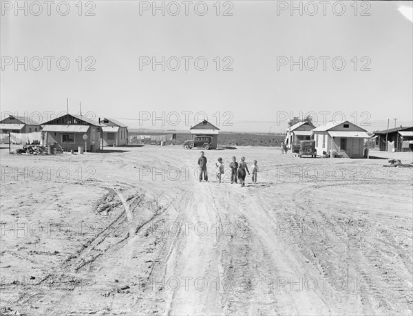 Industrialized agricultural, near Niland, Imperial Valley, California, 1939. Creator: Dorothea Lange.