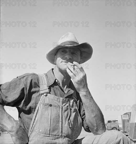 Nebraska farmer come to pick peas, near Calipatria, California, 1939. Creator: Dorothea Lange.