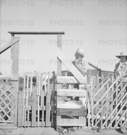 Family from Oklahoma; have been in California for 6 years..., near Fresno, California, 1939 Creator: Dorothea Lange.