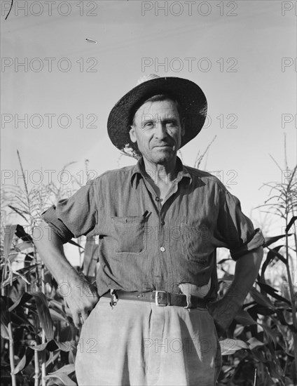 Drought refugee..., Yakima Valley, Washington, 1939. Creator: Dorothea Lange.