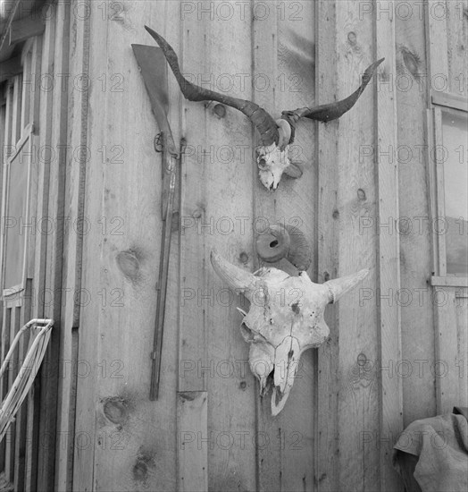 Side of Cates' new house, Malheur County, Oregon, 1939. Creator: Dorothea Lange.