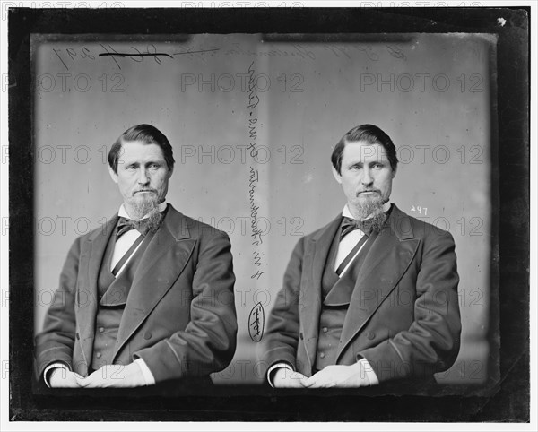 James Webb Throckmorton of Texas, 1865-1880.  Creator: Unknown.