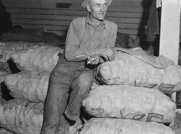 Klamath Basin potato farmer, Tulelake, Siskiyou County, California, 1939. Creator: Dorothea Lange.