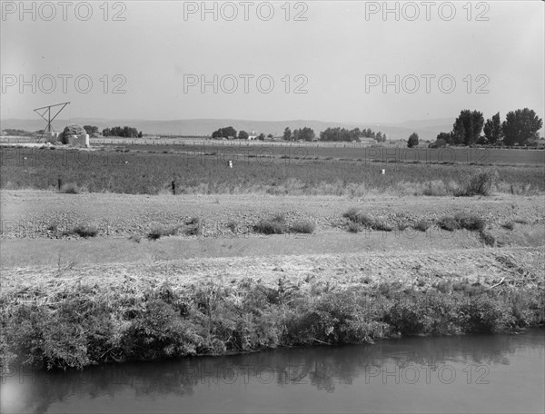 Washington, Yakima Valley, near Wapato, 1939. Creator: Dorothea Lange.