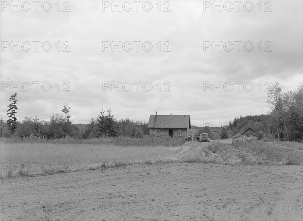 The Arnold farm, seen from road, Michigan Hill, Thurston County, Western Washington, 1939. Creator: Dorothea Lange.