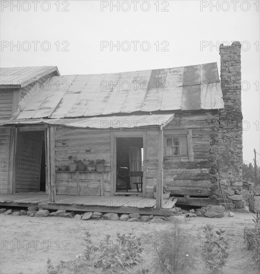 Negro sharecropper house on dirt, near Olive Hill, North Carolina, 1939. Creator: Dorothea Lange.