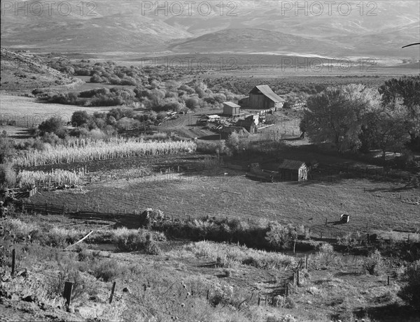 Squaw Valley farm, Gem County, Idaho, 1939. Creator: Dorothea Lange.