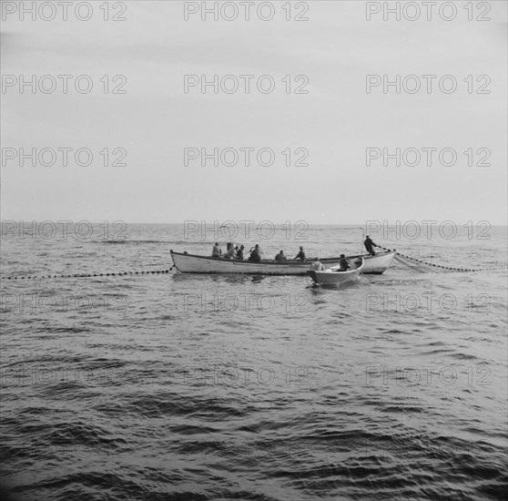 Possibly: On board the fishing boat Alden, out of Gloucester, Massachusetts, 1943. Creator: Gordon Parks.