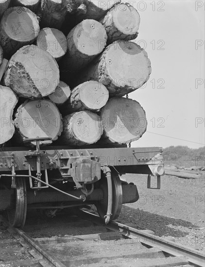 Pelican Bay Lumber Company, near Klamath Falls, Klamath County, Oregon, 1939. Creator: Dorothea Lange.