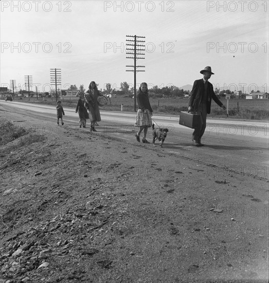 Homeless family of seven, walking the highway..., on U.S. 99, near Brawley, Imperial County, 1939. Creator: Dorothea Lange.