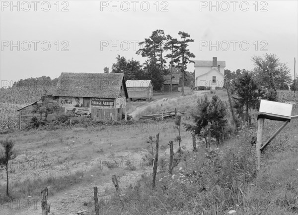 General view of a hillside farm which faces the road..., Person County, North Carolina, 1939. Creator: Dorothea Lange.