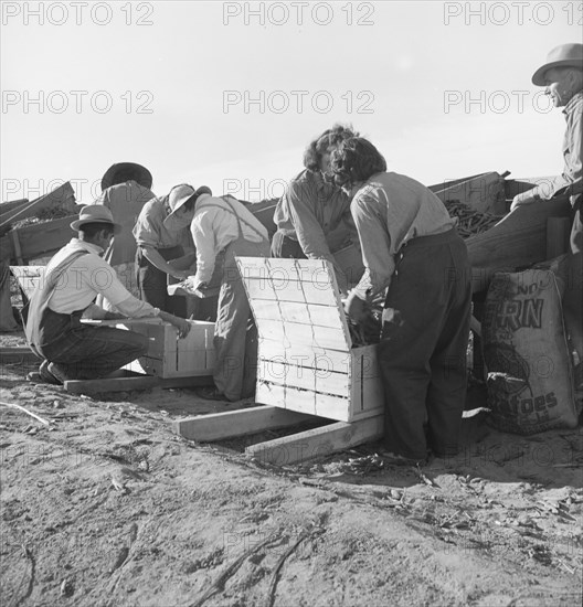 Large-scale industrialized agriculture, Calipatria, Imperial Valley, California, 1939. Creator: Dorothea Lange.