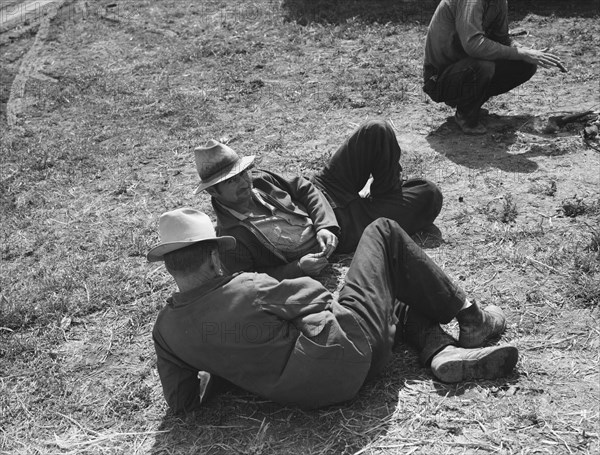 Idle migrants, foothills north of San Jose, California, 1939. Creator: Dorothea Lange.