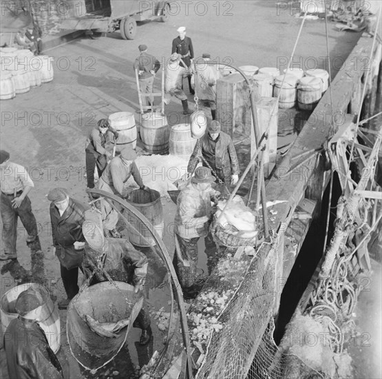 Dock stevedores at the Fulton fish market sending up baskets of fish..., New York, 1943. Creator: Gordon Parks.