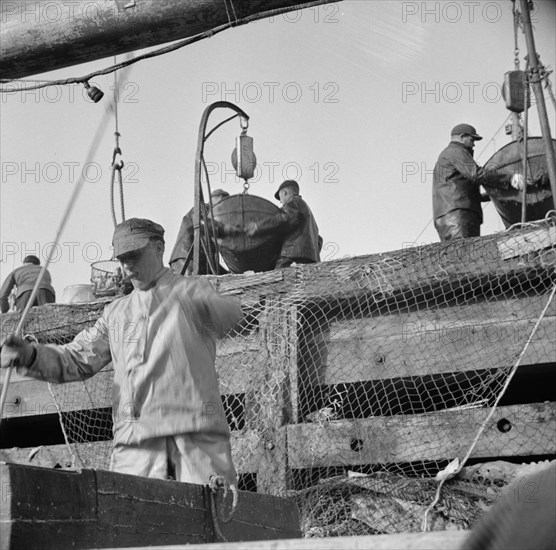 Dock stevedores at the Fulton fish market sending up baskets of fish..., New York, 1943. Creator: Gordon Parks.