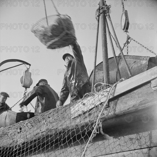 Dock stevedores at the Fulton fish market sending up baskets of fish..., New York, 1943. Creator: Gordon Parks.