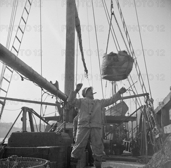 Dock stevedores at the Fulton fish market sending up baskets of fish from the..., New York, 1943. Creator: Gordon Parks.