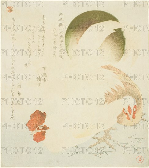Cock, Hen, and Rising Sun, from the series "Seven Bird-and-flower Prints for the Fuyo..., c. 1810. Creator: Kubo Shunman.