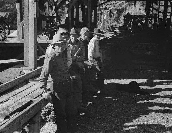 Possibly: Five Idaho farmers, members of Ola self-help sawmill co-op..., Gem County, Idaho, 1939. Creator: Dorothea Lange.