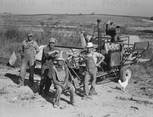 Stephen brothers, Joe, Jim, Eugene, Fred, Nyssa Heights district, Malheur County, Oregon, 1939. Creator: Dorothea Lange.