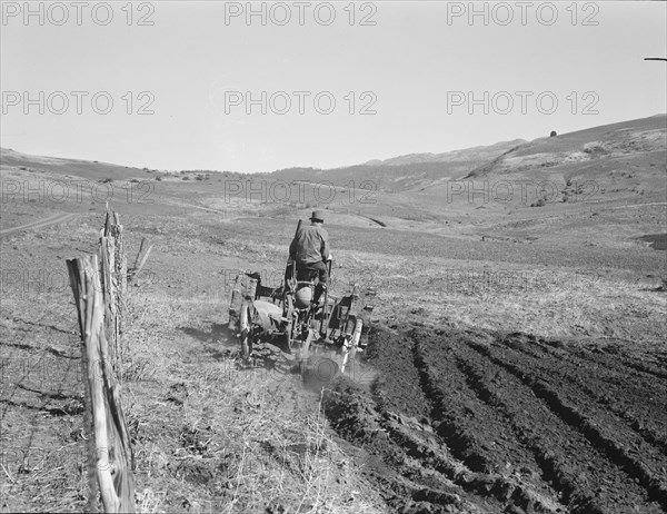Young Idaho farmer plowing...Ola self-help sawmill co-op..., Gem County, Idaho, 1939. Creator: Dorothea Lange.