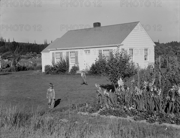 On the Longview homesteads (FSA) initiated in 1934, Cowlitz County, Washington, 1939. Creator: Dorothea Lange.